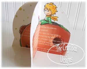 the little prince5